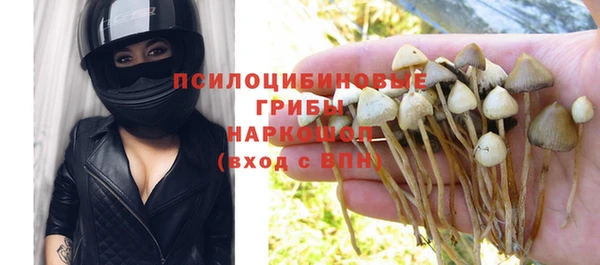 ПСИЛОЦИБИНОВЫЕ ГРИБЫ Гусь-Хрустальный