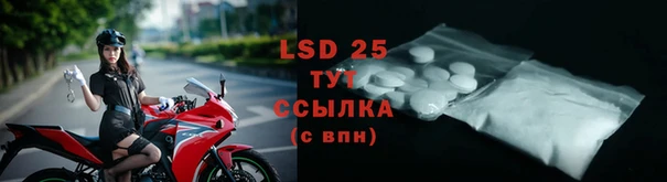 ПСИЛОЦИБИНОВЫЕ ГРИБЫ Гусь-Хрустальный
