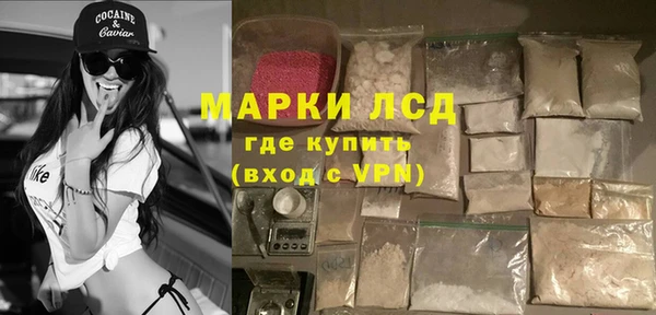 прущие грибы Дмитровск