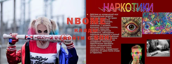 ПСИЛОЦИБИНОВЫЕ ГРИБЫ Гусь-Хрустальный