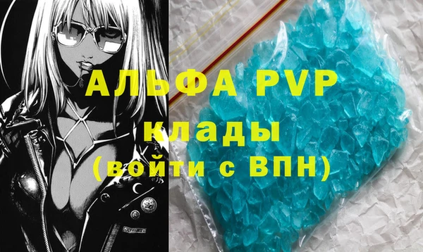 ПСИЛОЦИБИНОВЫЕ ГРИБЫ Гусь-Хрустальный
