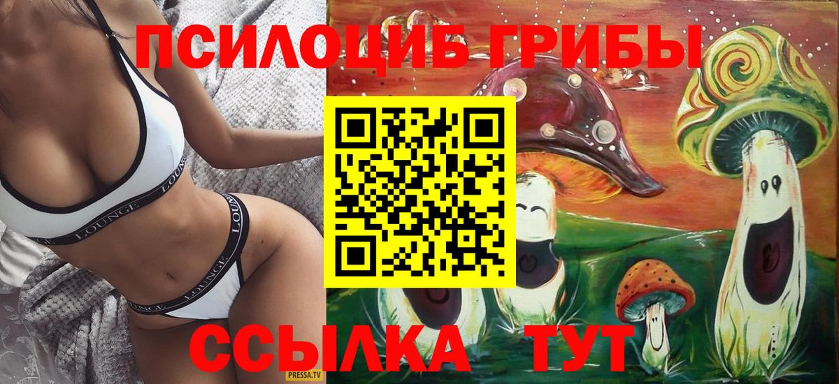 Псилоцибиновые грибы мухоморы  купить наркотик  Мценск  Вход с VPN 